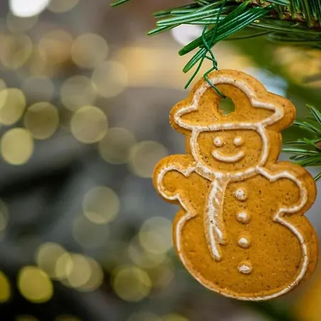 Taternik - 3 Bedrooms - Mountain View Apartment *