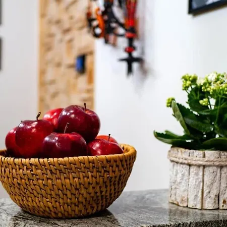 Apartment Taternik - 3 Bedrooms - Mountain View *