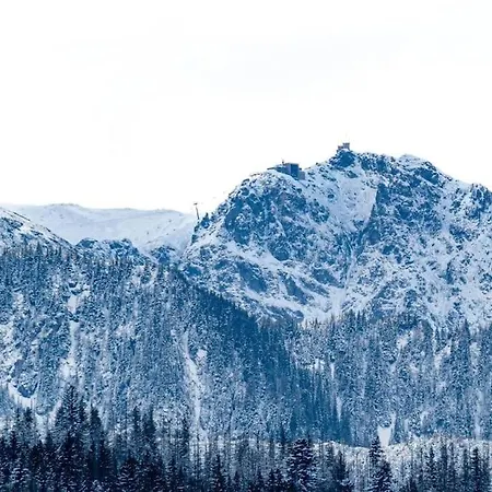 Lejlighed Taternik - 3 Bedrooms - Mountain View Zakopane