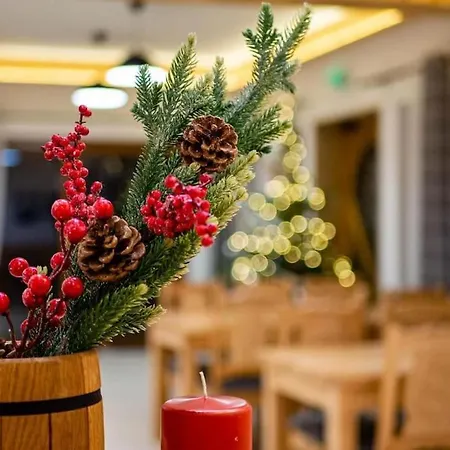 Taternik - 3 Bedrooms - Mountain View *