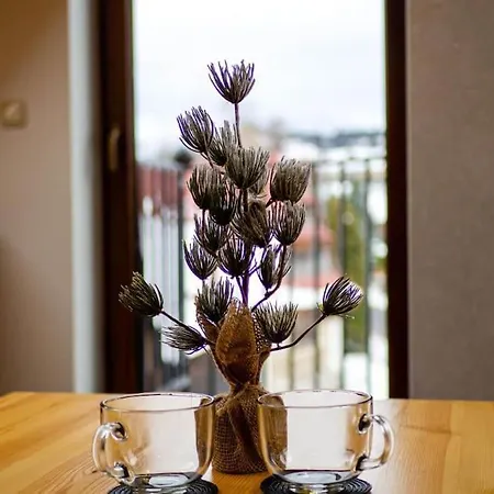 Taternik - 3 Bedrooms - Mountain View Lejlighed Zakopane